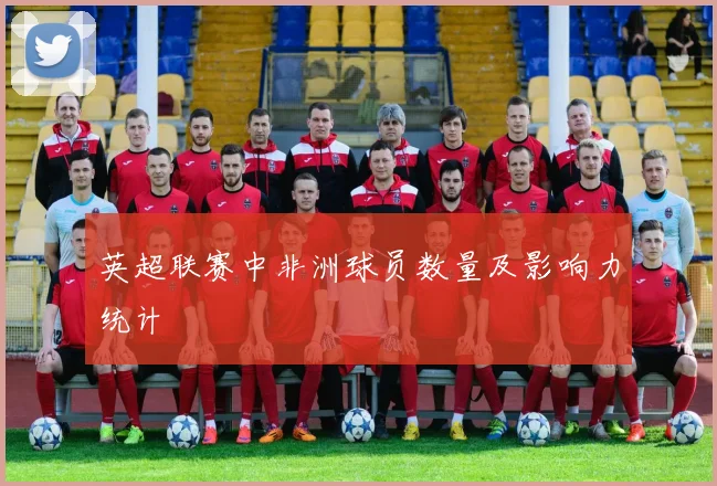 英超联赛中非洲球员数量及影响力统计