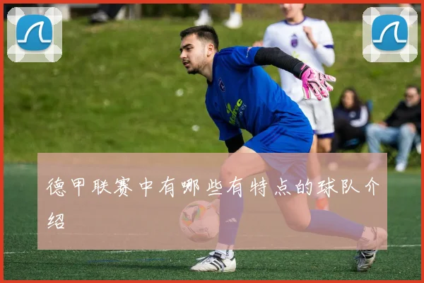 德甲联赛中有哪些有特点的球队介绍