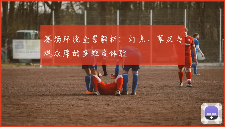 赛场环境全景解析：灯光、草皮与观众席的多维度体验