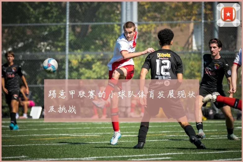 踢意甲联赛的小球队体育发展现状及挑战
