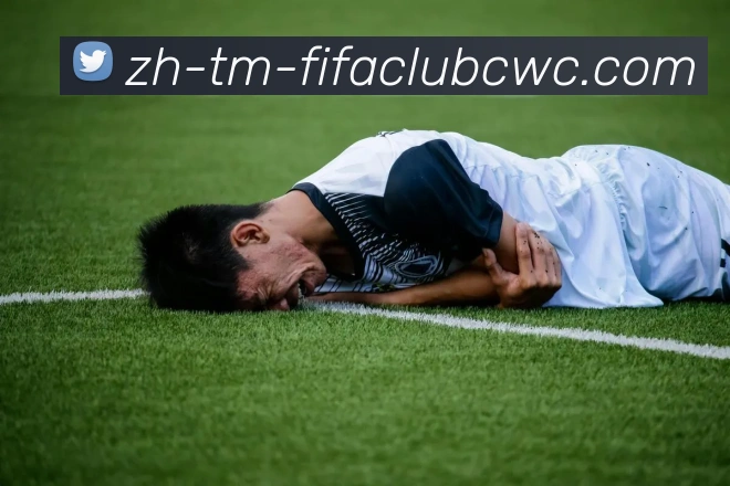 世界杯平台平台生态图