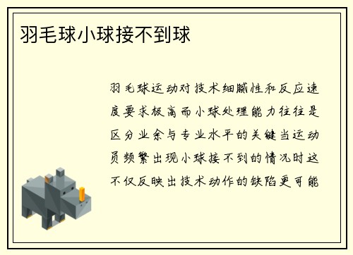 羽毛球小球接不到球